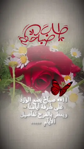 #صباحكم_أحلى_صباح🌹🌹 