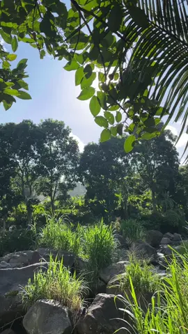 Menikmati suasana alam yang sejuk sambil menikmati lirik lagu yang indah, dinyanyikan dengan begitu bagus, benar-benar menyentuh ke hati. ❤️#Ampunilah #lestikejora @Lesti Kejora 