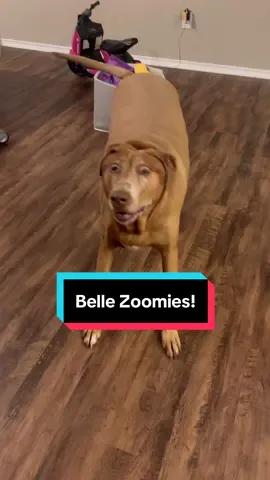 Inspector Belle! She has done well. 