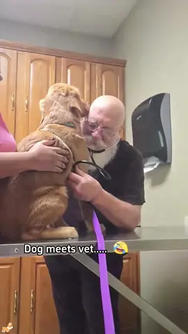 When a dog meets a veterinarian😂🐶#fentysuperbrandday #cutedog #cute #funny #usa🇺🇸 #dogsoftiktok 