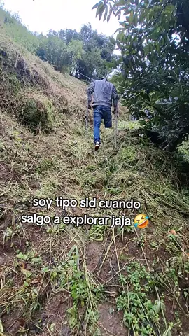 #sidel perezoso #senderismo 🥰🤣