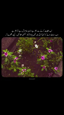 اَب شکایت کرنے سے بہتر ہے انسان خاموش رہے تو بہتر ہے جب سامنے والے کو کوئ فرق ہی نہیں پڑتا تو پھر 