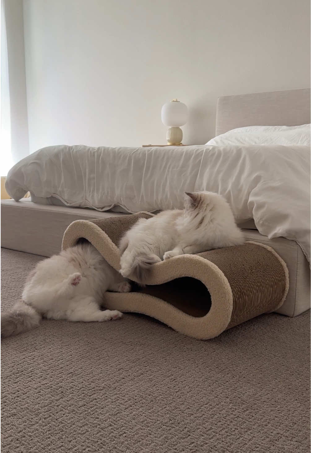 This cat scratcher matches my home beautifully 😌 The best part is that the girls love it 🤍 #beautifulcat #ragdollcat #catscratcher #beautifulcatfurniture #catfurniture