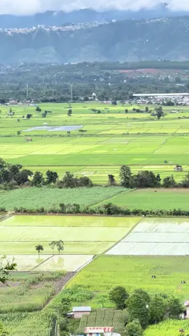 လွယ်မိုင်းစဉ်မွေတော်ဘုရားမှ ရွှေညောင်မြို့နှင့် တောင်ကြီးမြို့ကို မြင်တွေ့ရသော ရှုခင်း⛰️ #ဆယ်လီမှအသဲပေးတာလား😔😑 #ThuReinphotography #niceview #foryou #shanstate #taunggyi #shwenyaung 