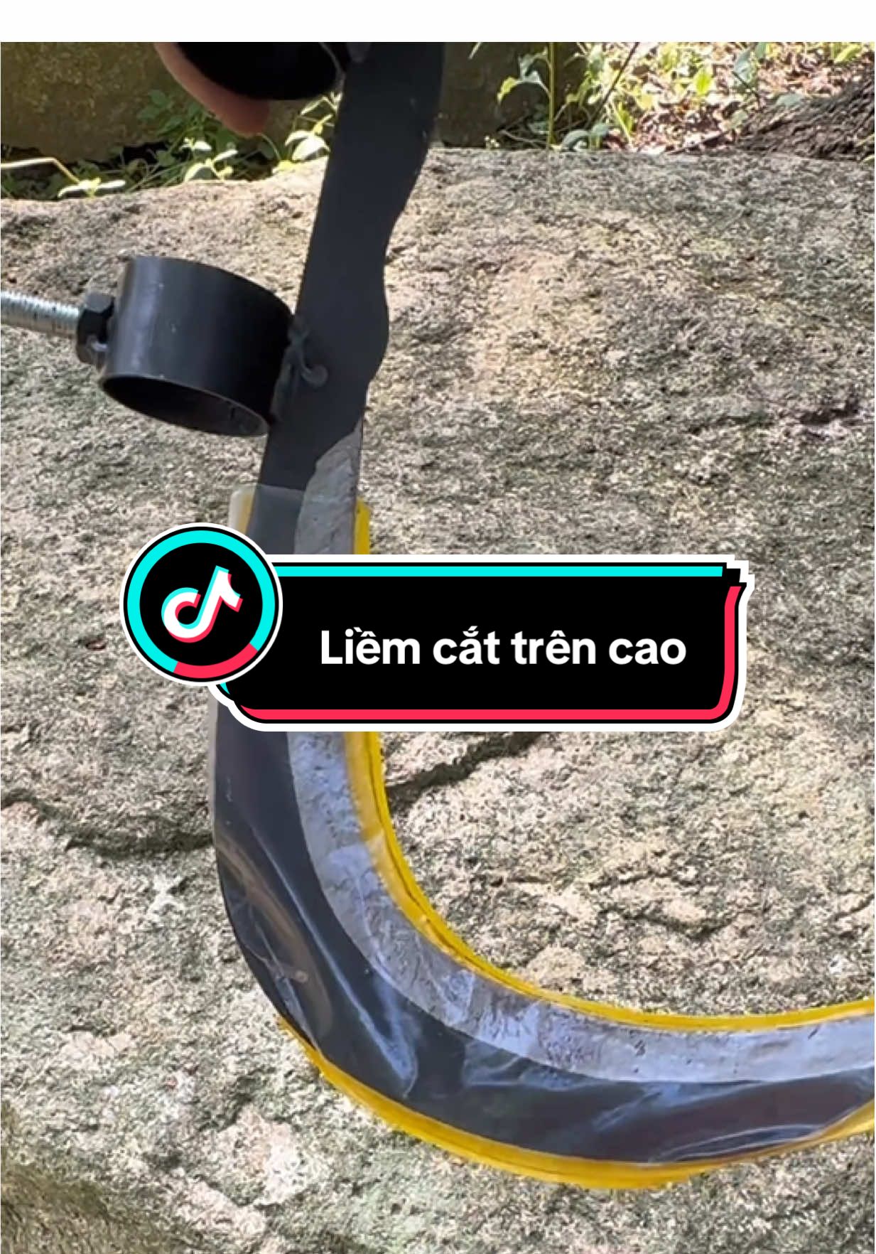 Liềm cắt trên cao #liemcatcanh #liemcatcanhcaytrencao #xuhuong #videoviral 