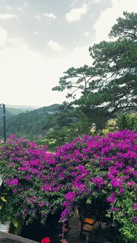 Tôi từng đọc đâu đó : 