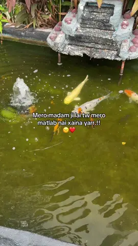 Matlb nae xaina❤️☹️#fyp #foryou #foryoupage #lovee #fypシ゚viral #tiktok 