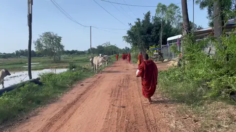 ខន្តីញោមគោ😢😢