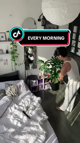 Jemur bayi hijau dulu ☘️ #kosan700ribu #kosanjakarta #aesthetic #roomdecor #roomdesign #dekorasikamar #plants #monstera #tanamanhias #everymorningroutine #morningvlog 
