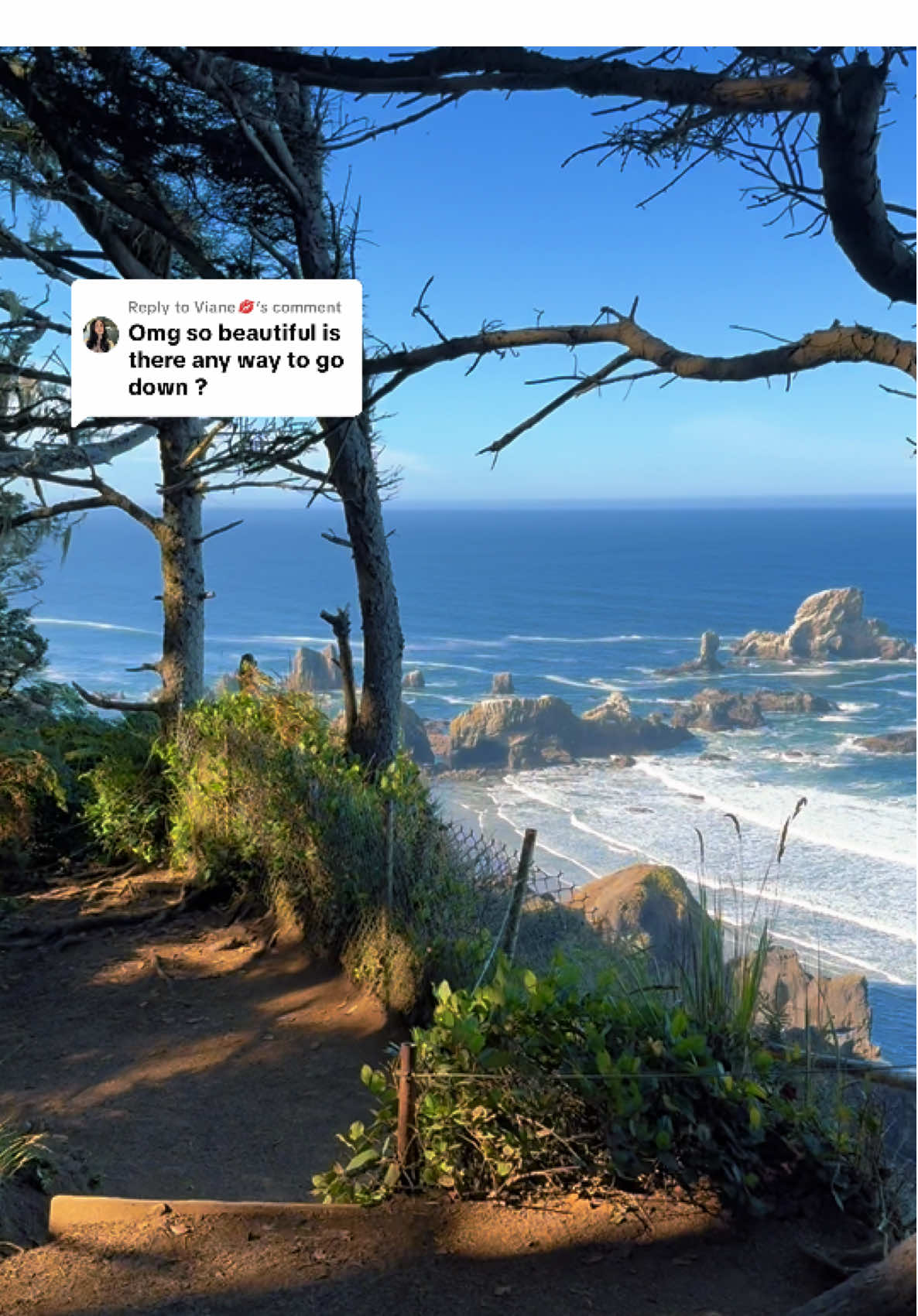 Replying to @Viane💋 Follow the trail, it leads you right to the beach. I recommend that you stay and enjoy for as long as possible. Nothing beats the Oregon Coast😍 #oregoncoast #pnw #ocean #beachvibes #
