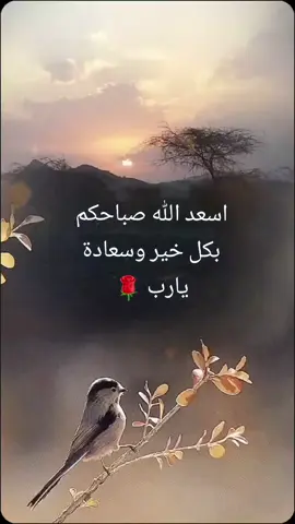 #صباح_الخير #🌹🌹🌹🌹🌹🌹🌹🌹🌹🌹🌹🌹 #خواطر 