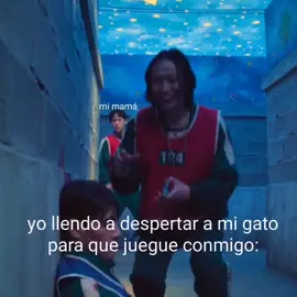 aqui otro pq ns ✨ #squidgame #squidgame3 #squidgame #eljuegodelcalamar #eljuegodelcalar3 #spoilers #players #squidgamefinal #eljuegodelcalamarfinal #squidgamenetflix #netflix #netflixseries #fpyシ #fpy_tiktok #fpy #foryou #foryoupage #apoyoplissssssssssssss #paratiiiiiiiiiiiiiiiiiiiiiiiiiiiiiii #apoyotiktok #tiktok #sacamedelfloptiktok😭 #noflop💔 #viral #videoviral #tiktokviral #like #10k? #noflop #triste #gato #gatitos #viral @TikTok @TikTok en español @Squid Game Netflix 