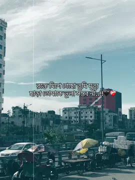 রক্তে মিশে গেছো তুমি মৃত্যু ছাড়া তোমাকে ভুলা সম্ভব না..!!🖤❤️‍🩹#CapCut #foruyou #bangladesh🇧🇩 #official #vairalvideo #foryoupage #tanjil12 @TikTok Bangladesh 