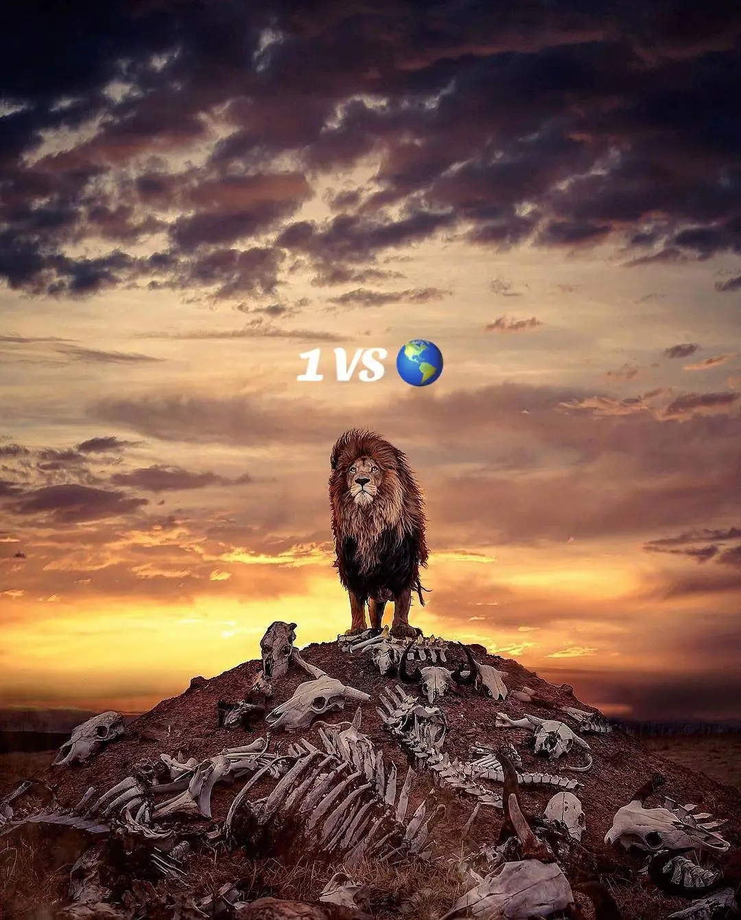 #impossible#freestylefootball#freestyle#ffbrasil🇧🇷@𝚂𝙻𝙾𝚆𝙳 𝚂𝙾𝙽𝙶𝚂 🎧 @𝔻ℤ 𝕊𝕠𝕟𝕘𝕤 ➠ @S M🎧 @𝐌𝐜 𝐦𝐮𝐬𝐢𝐜 🎧🎶 @𝐀𝐑𝐀𝐓𝐇 @GOKUff 