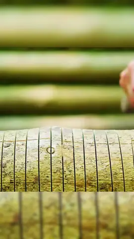 Watch an episode about wilderness building when they can't sleep late at night! #bushcraft #build #camp #camping #survival #shelter #wildlife #Outdoors #outdoor #viral #fyp