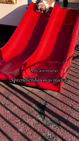 Aventuras mías #aventuras #meme #viraltiktok #contenido #viraltiktok 