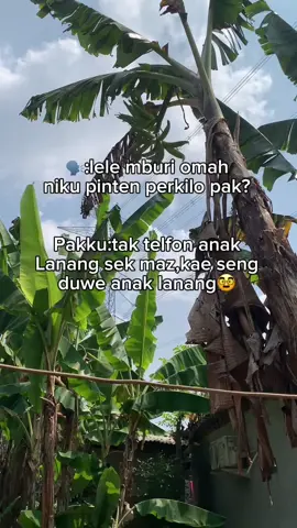 Sehat sehat pak buk sedang tak usahakan kebahagianmu yangbpernah tertunda di usia muda #real #peternakindonesia #petaniindonesia #peternaksukses #perikananindonesia #petanimuda #petanisukses #patillele #ikanlele #bibitlele #leleremaja #lelekonsumsi #kolamterpal #pemula #viral #fyp #fypシ #fyppppppppppppppppppppppp 