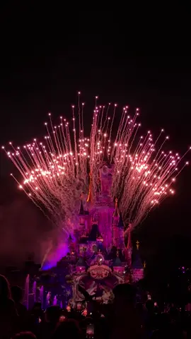 32 ثانيه من الجمال💘🩷💕💓💘 #fyp #explore #foryou #مالي_خلق_احط_هاشتاقات #disneyparis 