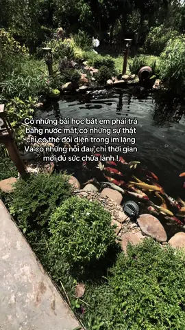 Có những nỗi đau, chỉ thời gian mới chữa lành được .#xh #tamtrang #cacanh 