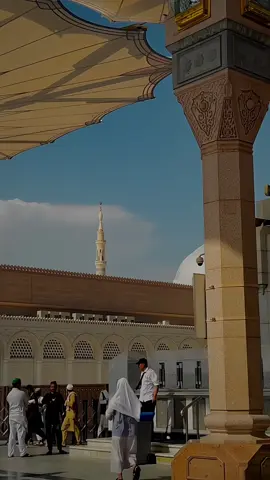 Ham eaha ja ke wapis nh ayge🫀 #islamic_video #islamic_post #islamic_clips #virelvideo #islamic_content #virelvideo #growmyaccount 