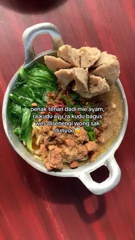 aku tak dadi mie ayam wae po cah koyone penak🫠