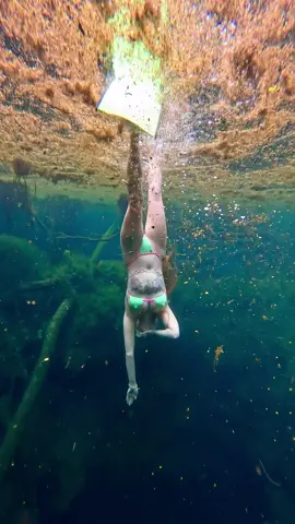 Would you swim here ? 😋🖤💚 #underwater #freediver #freediving #springs