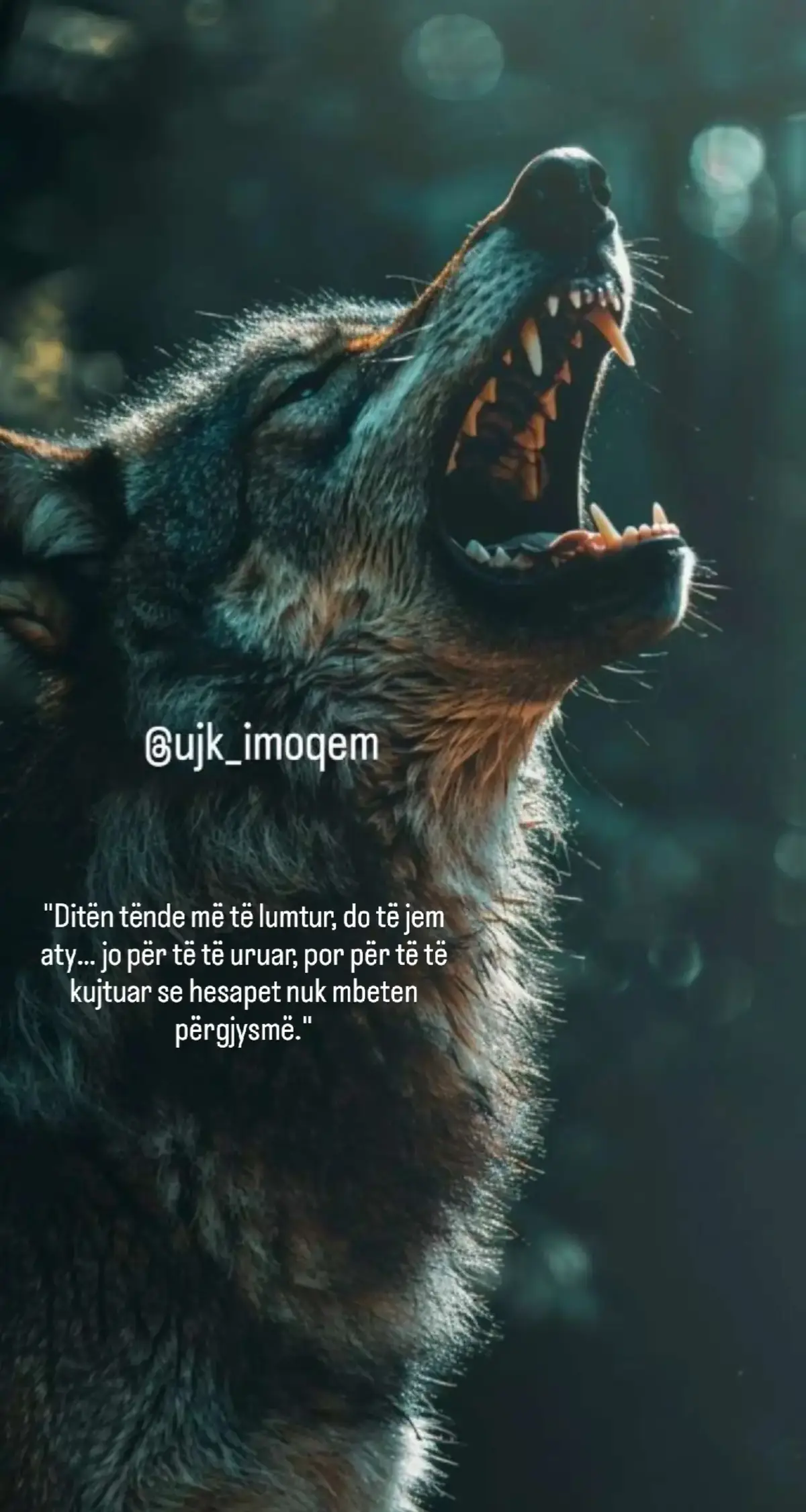 #ujk_imoqem #realtalk