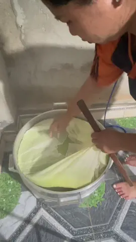 Dù bạn kinh doanh hay là làm cho gia đình anh thì nên có một chiếc khăn đồ xôi nha đảm bảo khi hấp sôi lên rất là ngon không lo bị bết #bepbeanh #xoisendua #xoingon #anngonmoingay #xoikhuc #xoidauden #xoixeo #xuhuong #xuhuongtiktok 