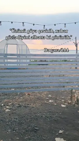 Göylər hərşeyi bilir... #allah #hzmuhammedsav #hzəli #hacışahinhəsənli #cəlilabad #kəşfet #kəşfetazərbaycan #azərbaycantiktok🇦🇿🇦🇿 #fypシ゚ #fyp #fy #f 