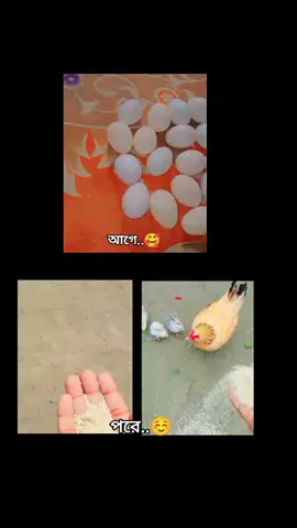 আলহামদুলিল্লাহ 🤗