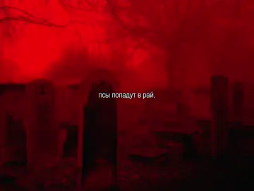 полматери – псы попадут в рай #полматери #марголдин #псыпопадутврай #какаяяпесня #текстпесни #песня #ктоя #текст #щп #рек #fyp 