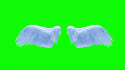 Wings overlay enjoy maro#foryoupage #mrsraja🦋✌️👻💗 #gulzarnubulawan🔐❤️ #overlay #aftereffects #foryoupage #unilovequalityandtrustedbabybrand 