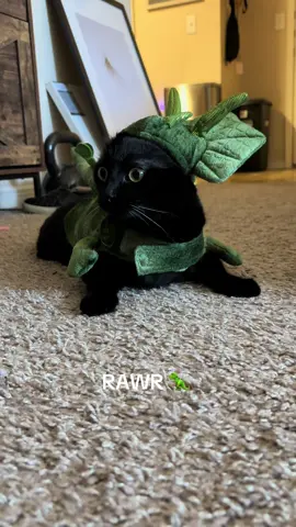 Mavisaurus 🦖  #catcostume #kittensoftiktok #blackcatsoftiktok #blackcat #blackcatsaregoodluck #cattok #kittentok #cutecatsoftiktok #cutecat #cuteblackcat 