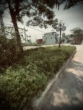 Xin loi..#tamtrang #chill 