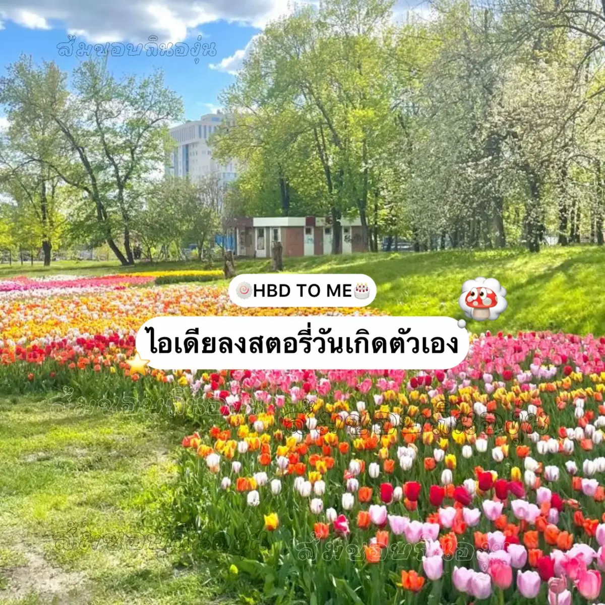 #fyp #ฟีดดดシ #วันเกิด #foryou 