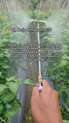 JANGAN GENGSI JADI PETANI 🧑🏻‍🌾 Yang muda yang berkarya, yang muda yang berinovasi💪🏻  Sektor pertanian sekarang harusnya didominasi anak muda yang semangatnya masih membara🔥  Kalau bisa petani bisa ekspor sendiri hasil bumi agar semakin sejahtera🔥🥰 #masyaallahtabarakkallah #petani #petaniindonesia🇮🇩🇮🇩🇮🇩🌿🌿 #petanimuda #4u #petanigenz #tomat #morningperson #fyp 