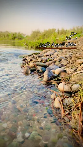 #نهر_دجلة #تصويري📸 #جنوب_الموصل_قرية_السفينة #الشعب_الصيني_ماله_حل😂😂 