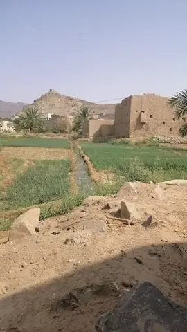 #الديره #شبوه#اكسبلور 