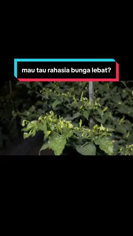 semua butuh proses#VocêNasceuParaMudar 