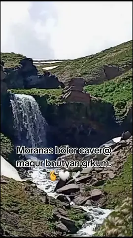 #🦚