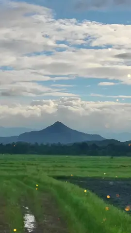 #ႁၢမ်ႈဢမ်ႇလႆႈ🥀😥 #ပၢင်သၢင်း❣️🌻❣️ #สตอรี่_ความรู้สึก😔🖤🥀 #ไตย🇱🇹 #ฟีดดดシ 