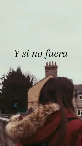 Y si no fuera - Ataquemos #ataquemos #ysinofuera #michis #gatoschiquitos #lyricsvideo #fyp