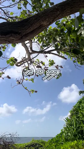 A broken heart heals best with love and gentle care 💖 #foryoupage #fyp #fypシ #fyppppppppppppppppppppppp #viralvideo #dhivehitiktok #peace #Love #nature #fy #quotes #peaceful #wow #blessed #happy #island #motivation #sky #natural #maldives 