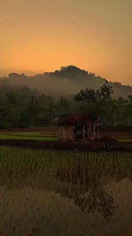 vibes kampung halaman #jamandulu #vibes #vibesdulu #nostalgia #nostalgia90an #zxycba 