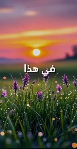 صباح النور
