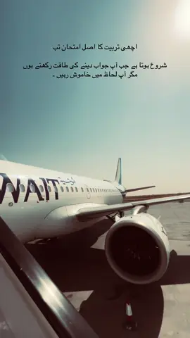 Han g bilkol😎#grow #account #burhantv #standwithkashmir #flypシ #fly #viralvideo #viralvideo #poytry 