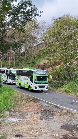 Ready seat 8-35  RSV : 0895339035811 #sewaelf #sewabuspariwisata #ponorogo24jam #pariwisata #sewabuspariwisata 