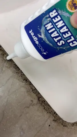 #mold #active#moldcleaning #cleaningservice #cleaningtips #cleaninghacks #cleaningproducts 