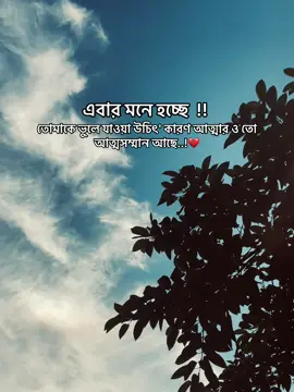 এবার মনে হচ্ছে তোমাকে ভুলে যাওয়া উচিৎ কারন আত্মার ও তো আত্মসম্মান আছে..! 💔#typ #foryoupage #fouryou #unfrezzmyaccount #1millionaudition #100kviews #bdtiktokofficial🇧🇩 #tiktokofficial @TikTok @TikTok Bangladesh @For You @everyone 