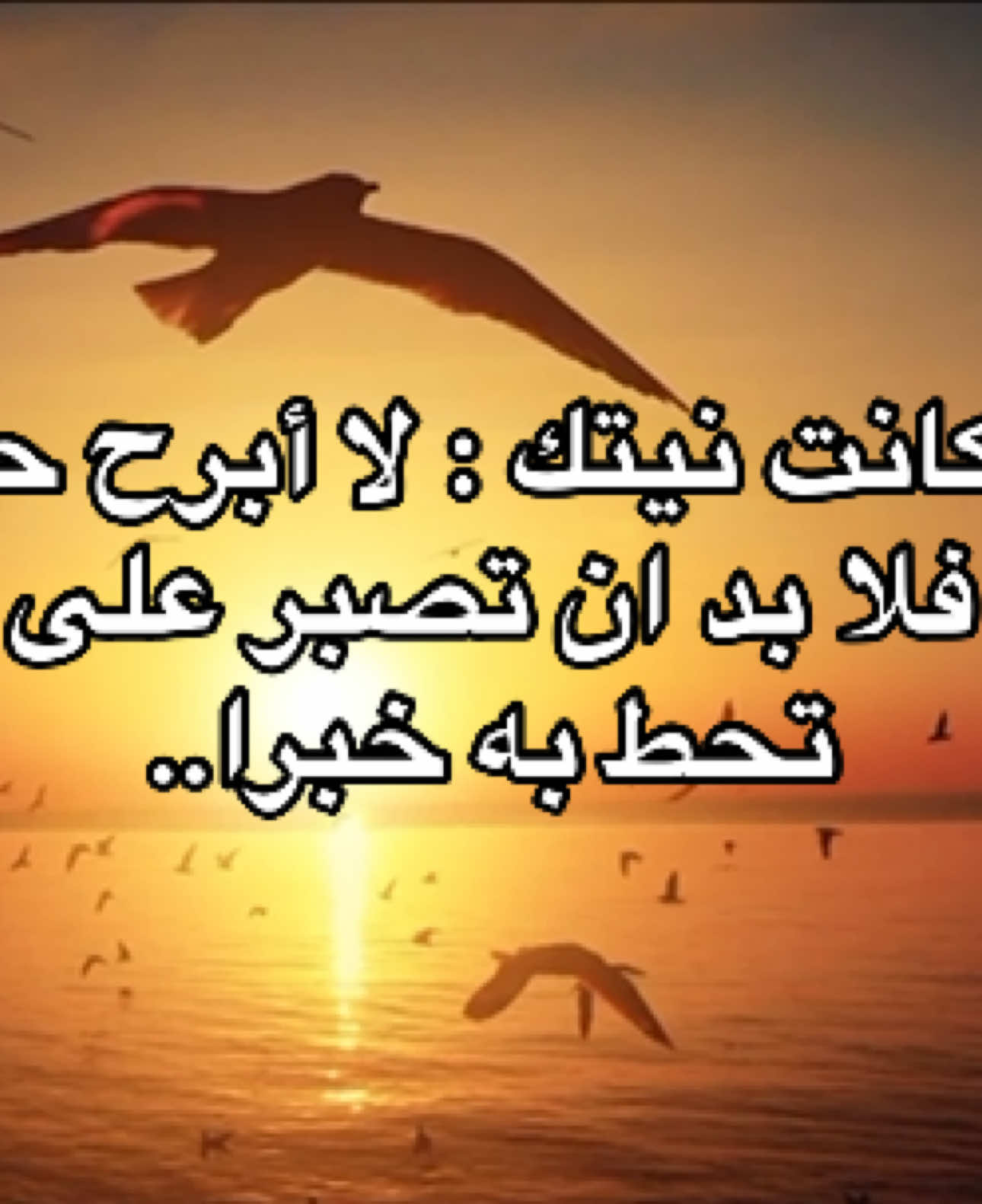 سبحان الله وبحمده سبحان الله العظيم #اللهم_صل_وسلم_على_نبينا_محمد #موعظة #السلف_الصالح #السعودية #سوريا #العراق  #fyp #foryou 
